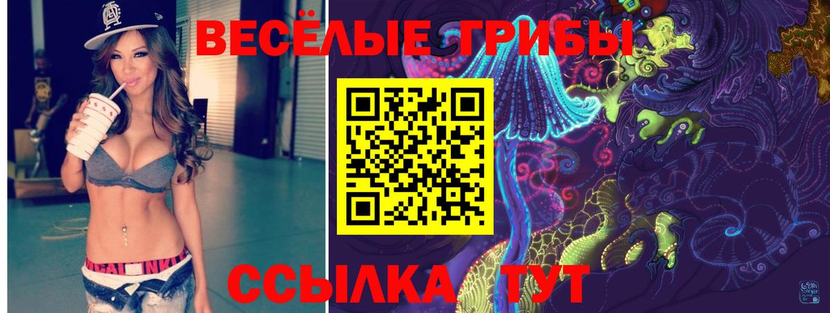 Дальнегорск  Псилоцибиновые грибы Cubensis  Псилоцибиновые грибы Cubensis  Вход с VPN 